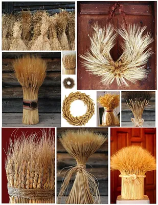 Поделки из снопов пшеницы (54 фото) - фото - картинки и рисунки: скачать  бесплатно