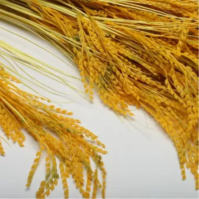 Поделки из колосьев пшеницы (Фотографии) - treepics.ru