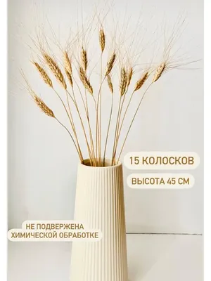 Поделки из колосьев пшеницы (Фотографии) - treepics.ru