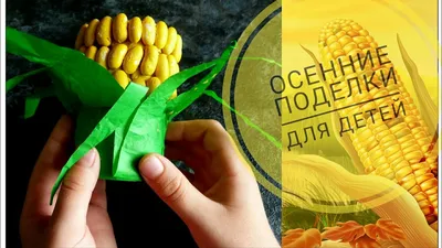 Профессиональный формирователь кукурузы, прочный желтый строгальный станок  для кукурузы, кухонные инструменты, кукуруза для зерен, кукуруза |  AliExpress
