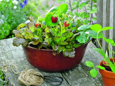 Поделки из монтажной пены своими руками (Много фото!) - treepics.ru