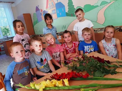 Диплом «Выпускника детского сада», А5, 157 гр/кв.м (4625021) - Купить по  цене от 4.90 руб. | Интернет магазин SIMA-LAND.RU