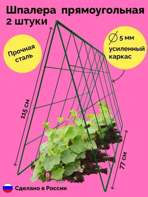8 идей шпалеры для подвязки огурцов | Агрошкола \"НАГИ\" 💚 (сад, огород) |  Дзен