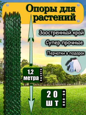 Стационарные шпалеры в открытом грунте для огурцов, томатов, фасоли |  уДачный проект | Дзен