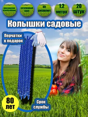 Высота шпалеры при выращивании культуры огурца | Гавриш