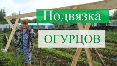 Как сделать шпалеры для огурцов на грядке из пластиковых труб, арматуры и  сетки