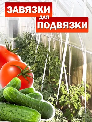 ▷ Подвязка томатов (помидор) в теплице//Простой способ подвязки томатов и  других растений в теплице — Видео | ВКонтакте