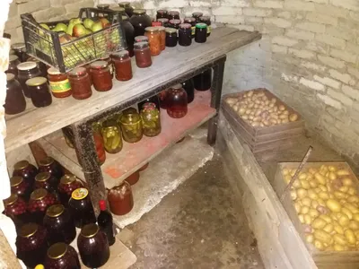 Как построить погреб на участке?