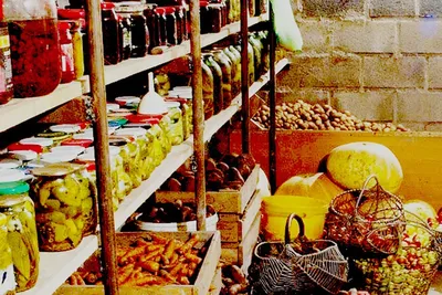 Погреб Tingard 2500Б: решение для долгосрочного хранения продуктов