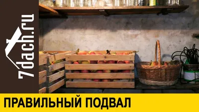 Погреб пластиковый для дачи и дома ТИНГАРД | Купить погреб в POLEX