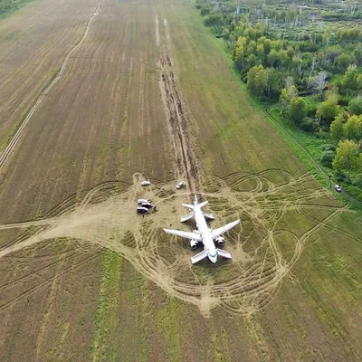 Поле пшеницы под голубым небом · Бесплатные стоковые фото