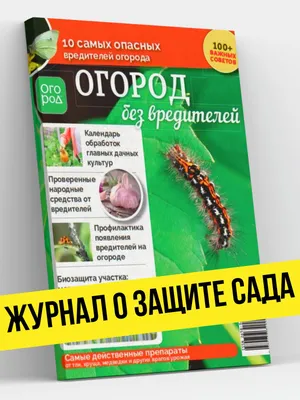 Полезные насекомые в саду и огороде (71 фото)