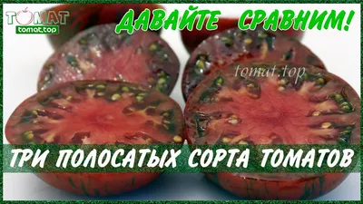 Томат Золотые полосы (Gold Stripes) - Семена Томатов