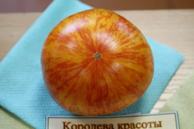 Экзотический сорт томата Полосатый шоколад