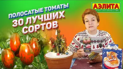 В Музее природы — большая выставка томатов / Статья
