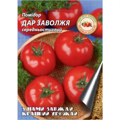 Томат Дар Заволжья розовый, семена | ОГОРОД.сайт