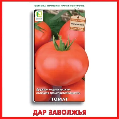 Томат Дар Заволжья, 0.2 г купить 〛по выгодной цене в Киеве и Украине | Фото  | Отзывы