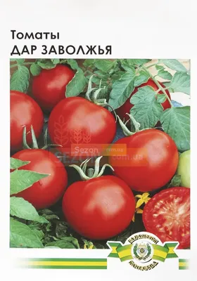 Томаты ПОИСК Агрохолдинг Томат Абаканский розовый - купить по выгодным  ценам в интернет-магазине OZON (960857685)