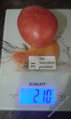 Семена томат Агроуспех Дар заволжья - отзывы покупателей на Мегамаркет