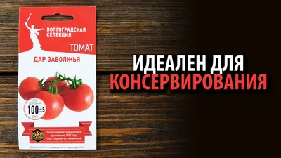 🌱 Томат (Помидор) обыкновенный Дивный по цене от 96 руб: рассада, саженцы,  семена - купить в Москве с доставкой - интернет-магазин Все Сорта