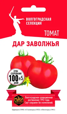 Купить семена томата в Волгограде. Низкие цены. Интернет-магазин. ОПТ!,  интернет-магазин - Семена-база.рф| Доставка по ЮФО и почтой по России |  \"СЕМЕНА-БАЗА.РФ\" интернет-магазин в Волгограде