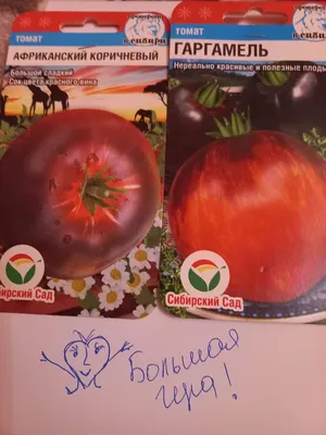 Томат Волгоградский 323 5 г Gl Seeds - купить по лучшей цене в  Днепропетровской области от компании \"Agroretail.com.ua\" - 1076124004