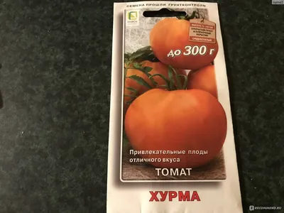 Семена Томата Хурма. Купить с Доставкой по РФ почтой и ТК.