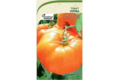 Семена Томат \"Хурма\" \"Поиск\" - «Отличный сорт томатов для северо-запада.  Сладкие и красивые.» | отзывы