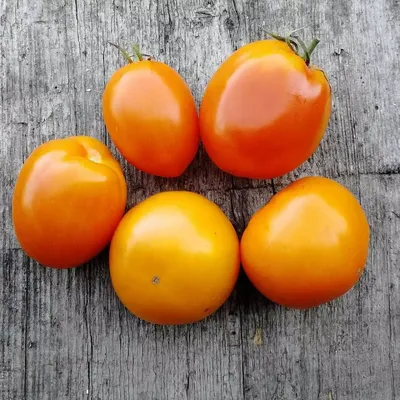 Хурма – это зимний помидор. Не игнорируйте, делайте салаты | FoodOboz