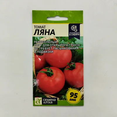 Томат Ляна, посадил и забыл, популярный сорт среди низкорослых, с отменным  вкусом и большим урожаем - YouTube