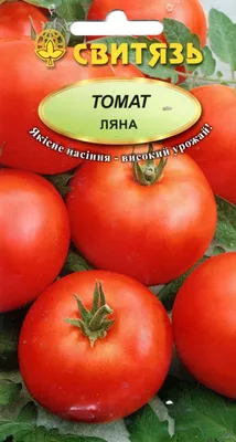 Купить семена Томат Ляна с доставкой. Каталог семена почтой.