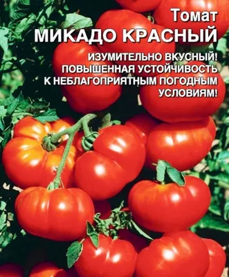 Томат Микадо розовый 20шт, семена | Купить в интернет магазине Аэлита