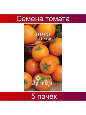 Выращивание комнатных томатов зимой — Soncesad Выращивание комнатных  томатов зимой — Soncesad