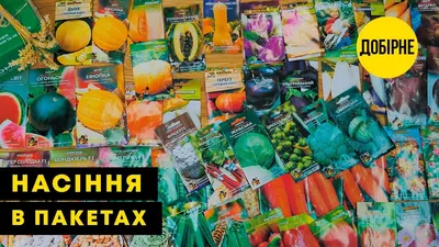 Топ-13 морозоустойчивых сортов и гибридов томатов разных сроков созревания  | AgroMarket интернет магазин семян