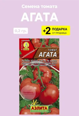 Томат Агата: описание сорта. Проверенный дачниками и временем со вкусными  плодами | О Фазенде. Загородная жизнь | Дзен