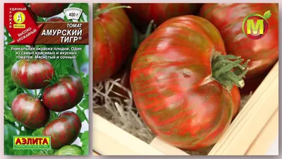 Семена томата Аэлита \"Амурский тигр\" - «А тигр ли это? » | отзывы