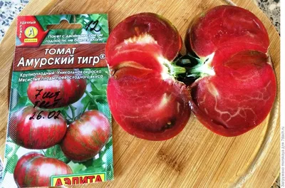 Помидоры: Амурский тигр против Полосатого шоколада | Садовое обозрение |  Дзен