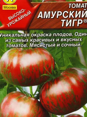 Семена томатов 🍅 on Instagram: “Розовый Сибирский тигр 🐯  #розовыйсибирскийтигр #томат#помидор#семенатоматов #семенапом… | Помидоры,  Семена томата, Сибирский тигр