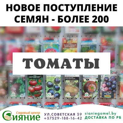 Отзыв о Семена томата Аэлита \"Амурский тигр\" | Интересный сорт для  разнообразия.
