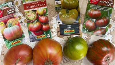 Агрофирма Аэлита Томат Амурский тигр