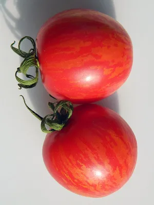 Томат Арбузик (Watermelon)