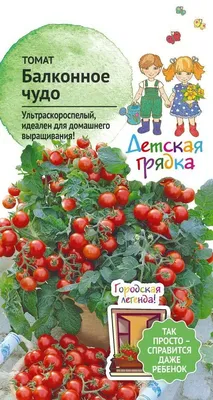 Семена Томат «Балконное чудо» по цене 15 ₽/шт. купить в Хабаровске в  интернет-магазине Леруа Мерлен