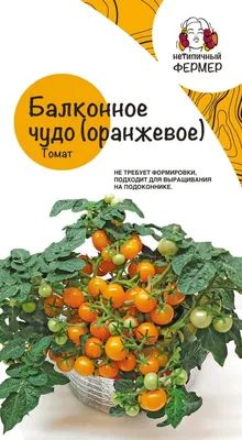Томат Балконное чудо оранжевое (0,05г) НФ - Нетипичный фермер