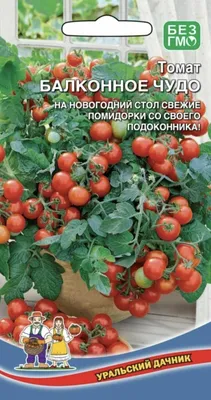 Томат балконное чудо (Красное), 1 пакет, семена 20 шт, Уральский Дачник,  для комнатного выращивания — купить в интернет-магазине по низкой цене на  Яндекс Маркете