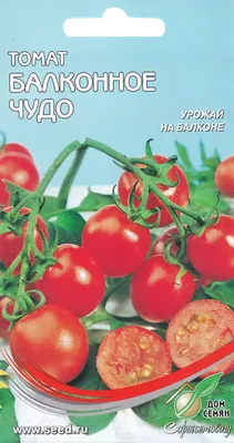 ᐉ Семена АгроВест томат Балконное Чудо 0,2 г Красный (47103)
