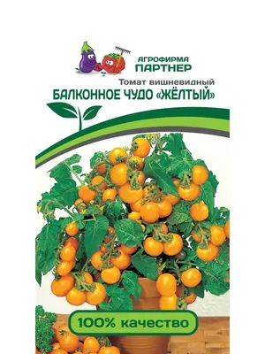 Томат Балконное Чудо Оранжевое (УД) 0,03 гр цв. п, томаты, цена 27 ₽