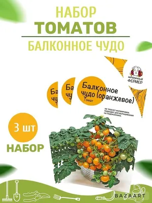 Семена Томат \"Балконное чудо\", Уральский дачник купить по цене 49 ₽ в  интернет-магазине KazanExpress