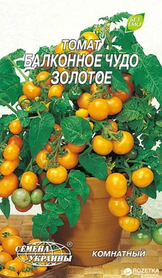 Семена Томатов «Балконное чудо» Семко - «Балконное чудо выросло в огороде!  Урожай порадовал🍅» | отзывы