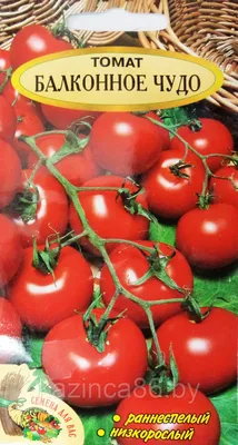 Томат Балконное чудо 0,1 г семена пакетированные Велес (ID#1561811339),  цена: 5 ₴, купить на Prom.ua