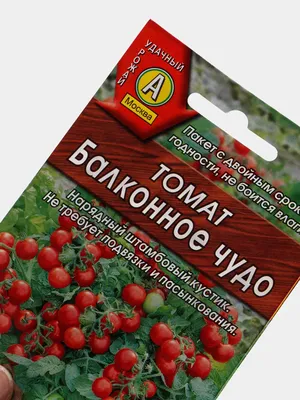 Семена Томат Балконное чудо, 20 шт, Сибирский сад - отзывы покупателей на  Мегамаркет